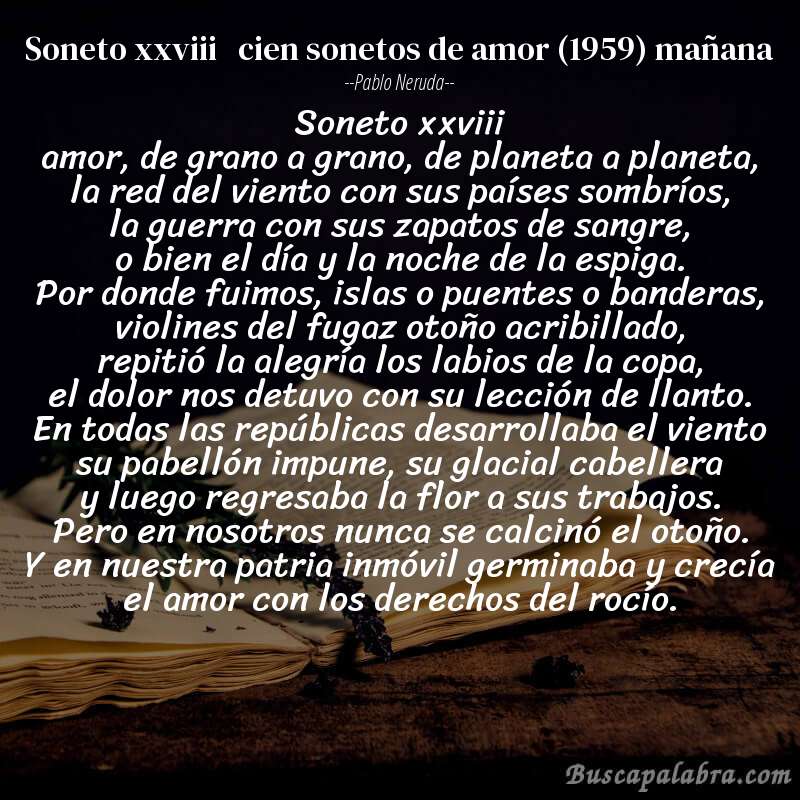 Poema soneto xxviii   cien sonetos de amor (1959) mañana de Pablo Neruda con fondo de libro
