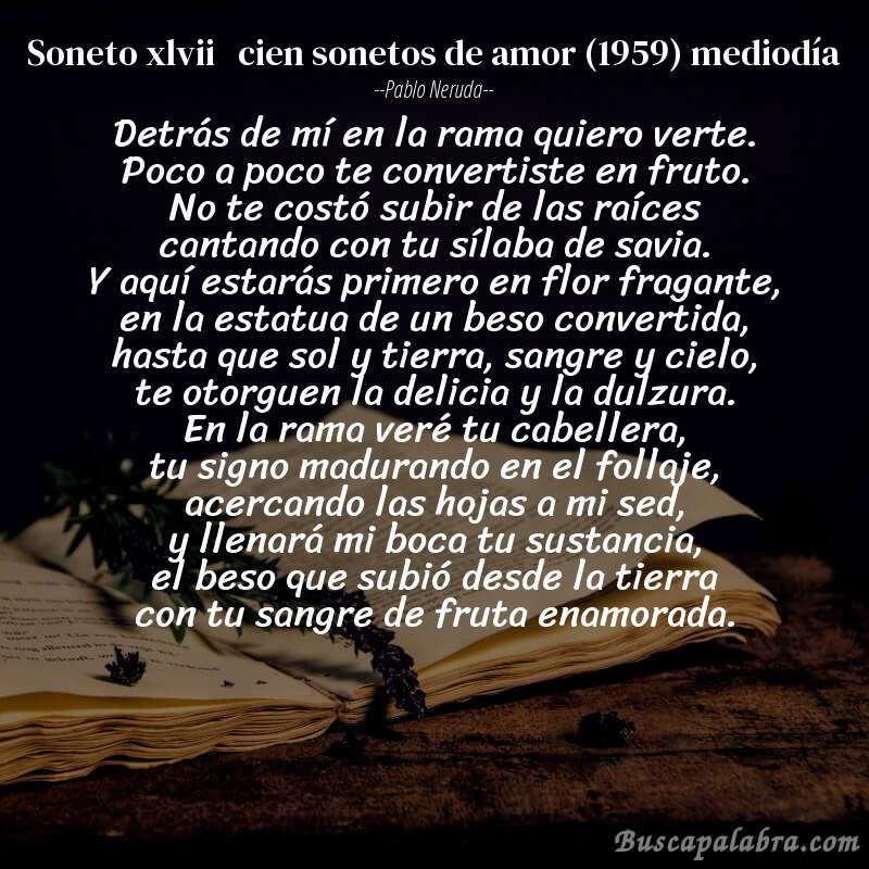 Poema soneto xlvii   cien sonetos de amor (1959) mediodía de Pablo Neruda con fondo de libro