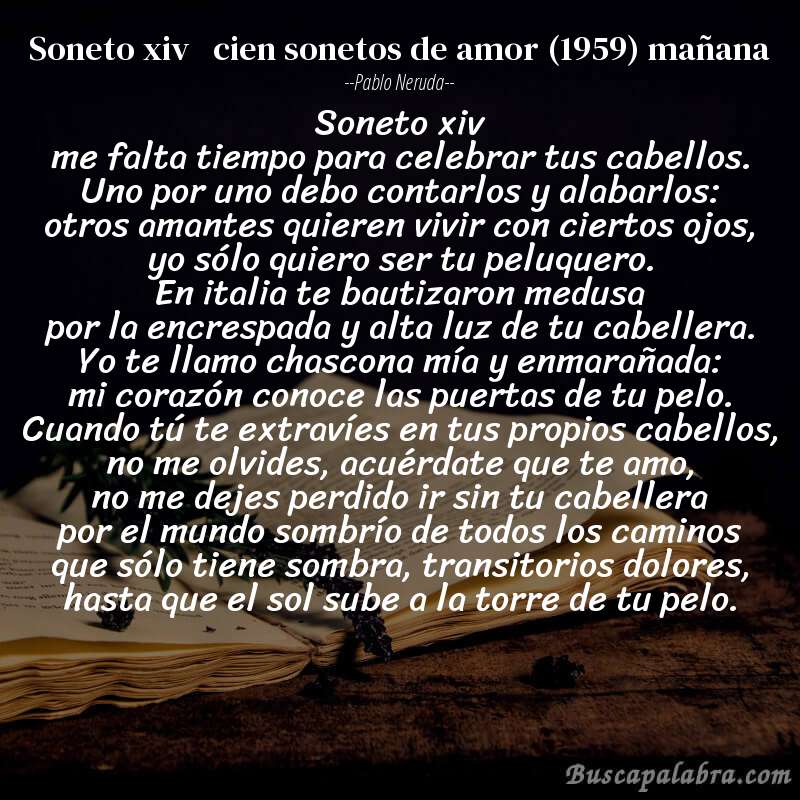 Poema soneto xiv   cien sonetos de amor (1959) mañana de Pablo Neruda con fondo de libro