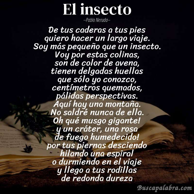 Poema el insecto de Pablo Neruda con fondo de libro