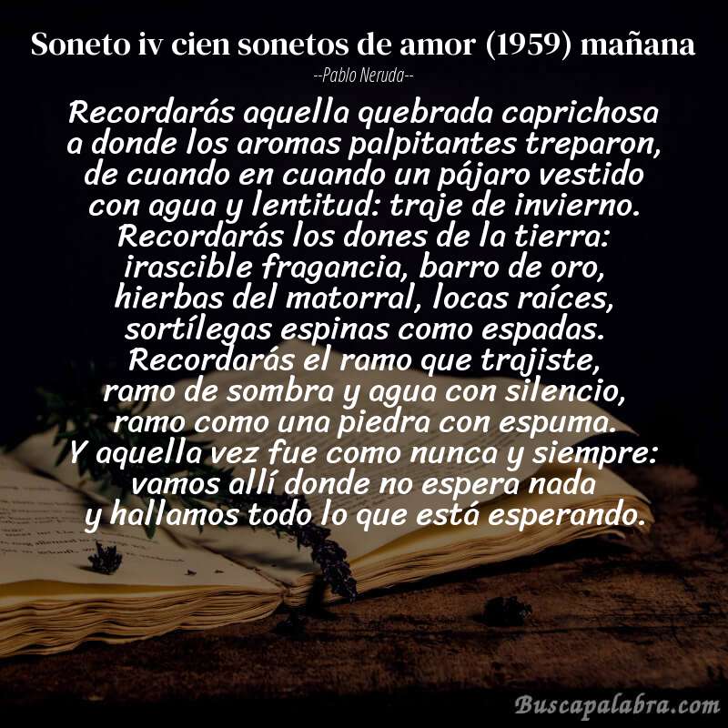 Poema soneto iv cien sonetos de amor (1959) mañana de Pablo Neruda con fondo de libro