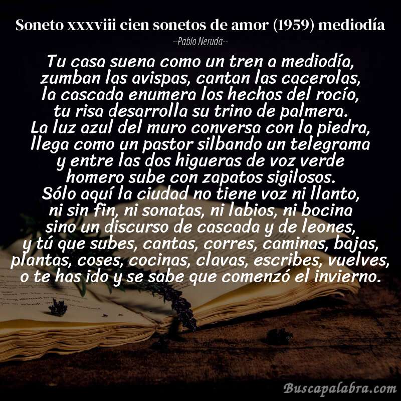 Poema soneto xxxviii cien sonetos de amor (1959) mediodía de Pablo Neruda con fondo de libro