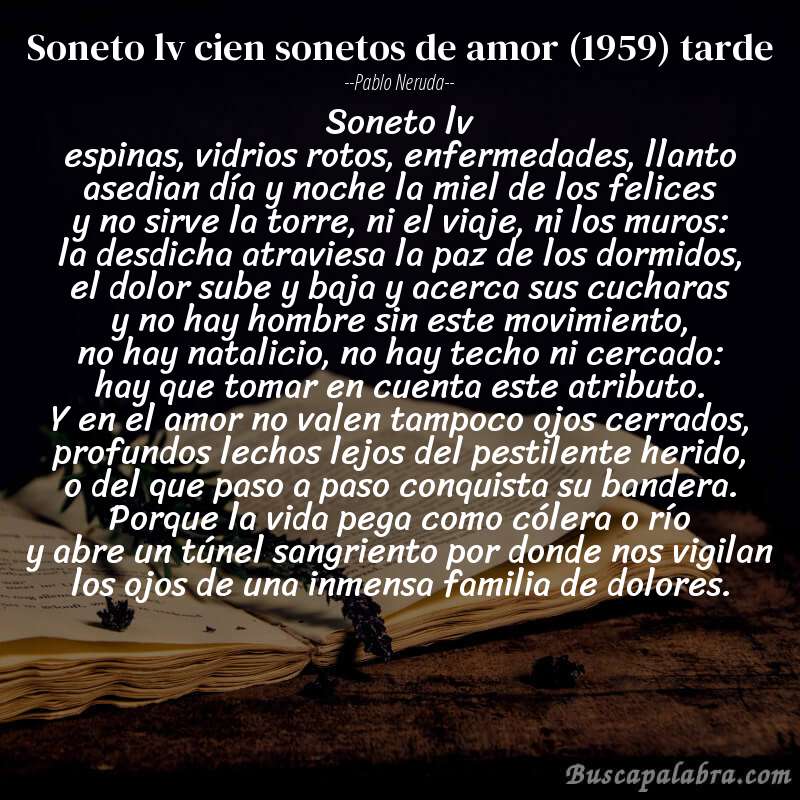 Poema soneto lv cien sonetos de amor (1959) tarde de Pablo Neruda con fondo de libro