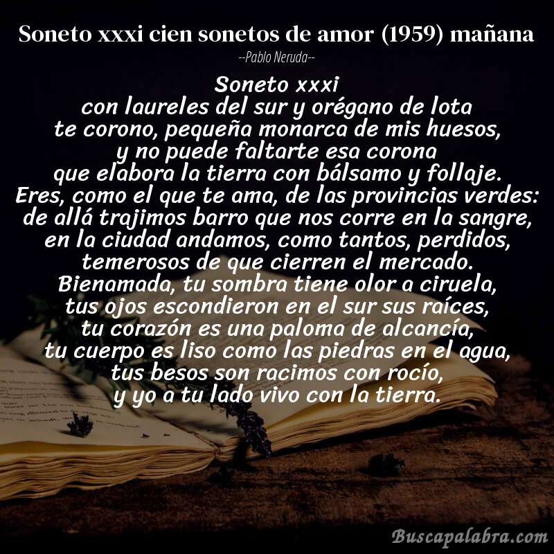 Poema soneto xxxi cien sonetos de amor (1959) mañana de Pablo Neruda con fondo de libro