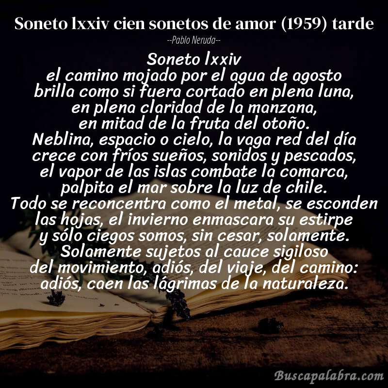 Poema soneto lxxiv cien sonetos de amor (1959) tarde de Pablo Neruda con fondo de libro