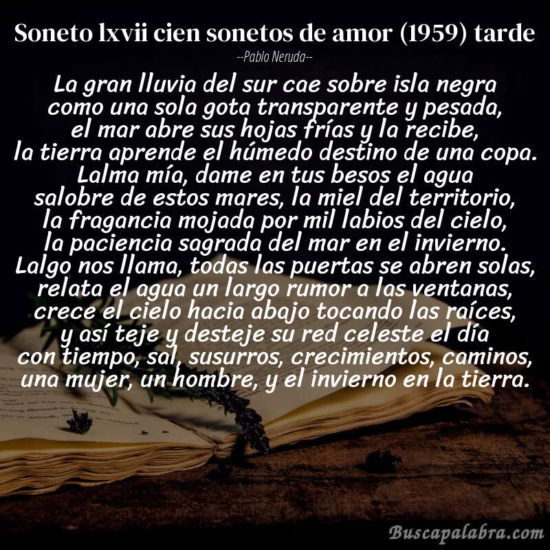 Poema soneto lxvii cien sonetos de amor (1959) tarde de Pablo Neruda con fondo de libro