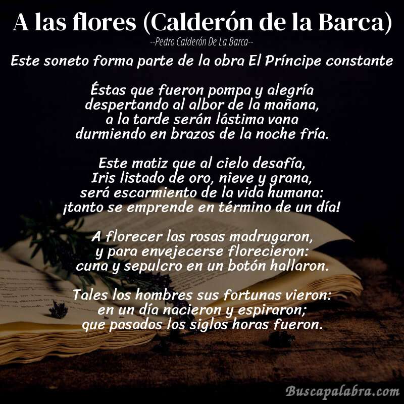 Poema A las flores (Calderón de la Barca) de Pedro Calderón de la Barca con fondo de libro