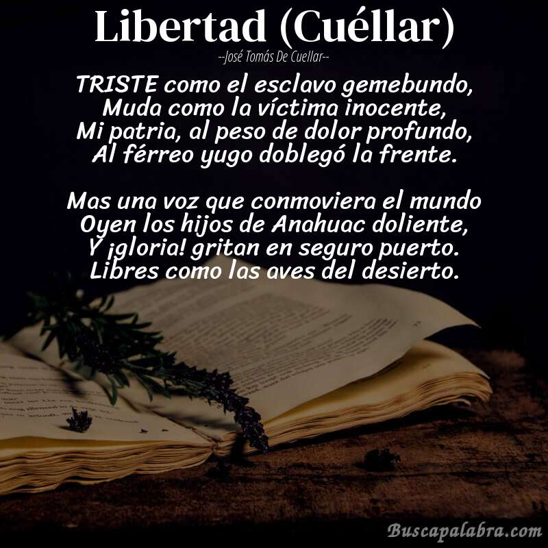 Poema Libertad (Cuéllar) de José Tomás de Cuellar con fondo de libro