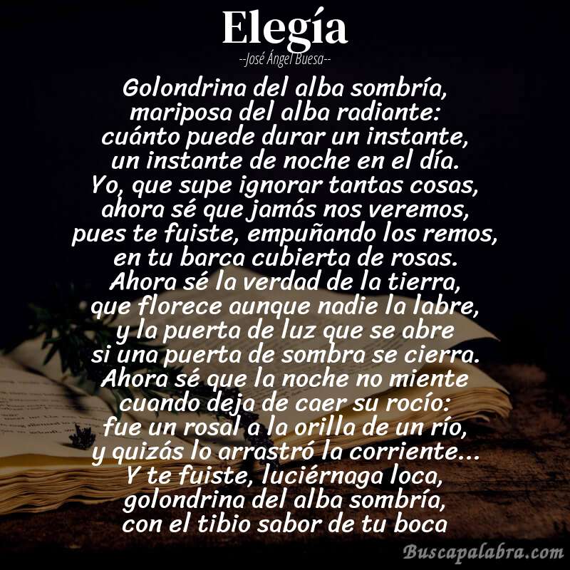 Poema elegía de José Ángel Buesa con fondo de libro