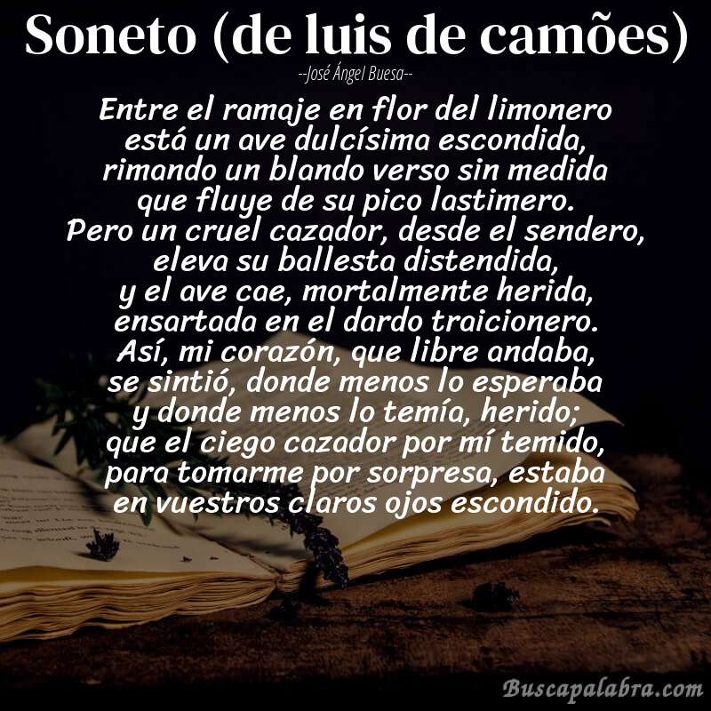 Poema soneto (de luis de camões) de José Ángel Buesa con fondo de libro