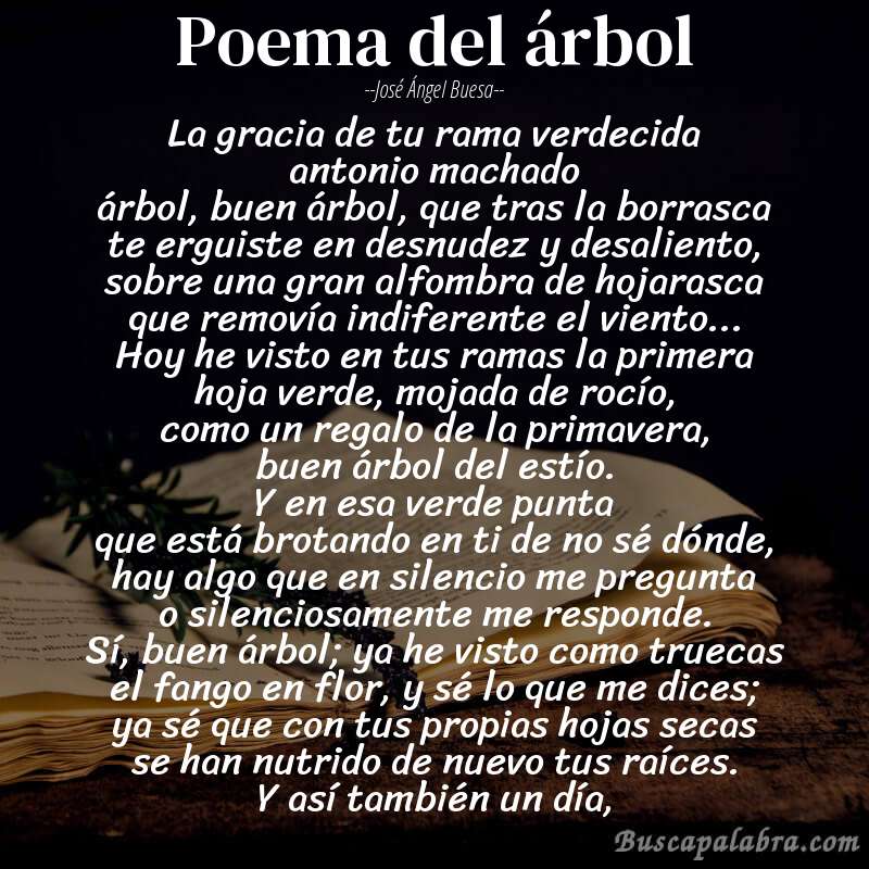 Poema poema del árbol de José Ángel Buesa con fondo de libro