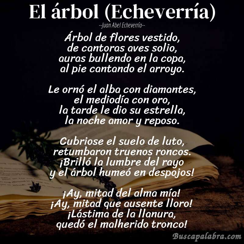 Poema El árbol (Echeverría) de Juan Abel Echeverría con fondo de libro