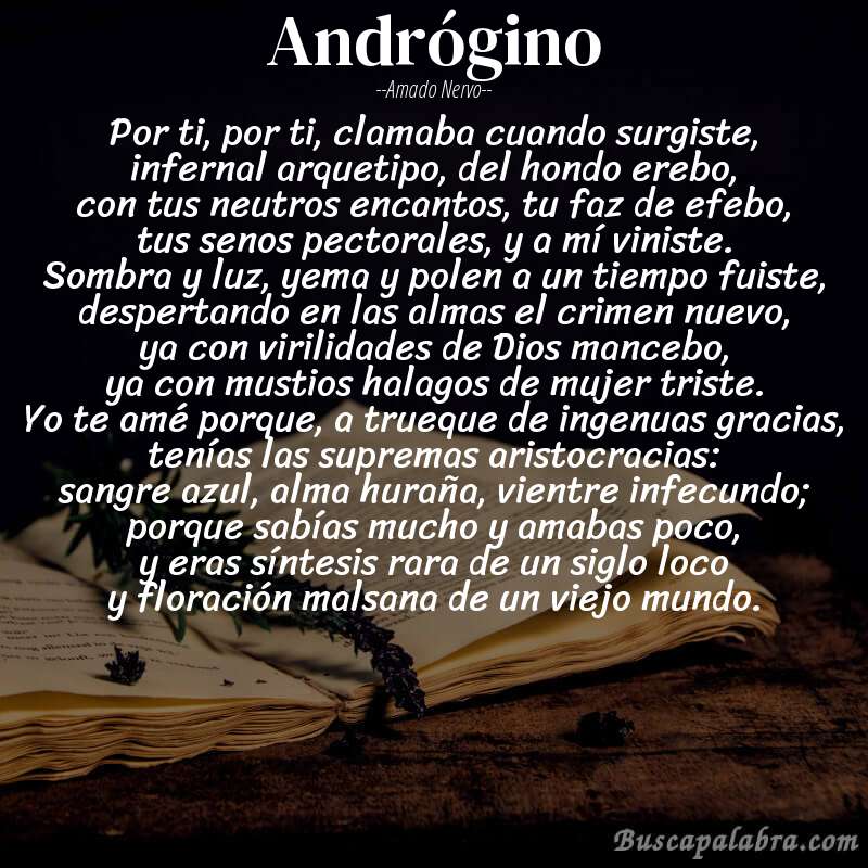 Poema andrógino de Amado Nervo con fondo de libro