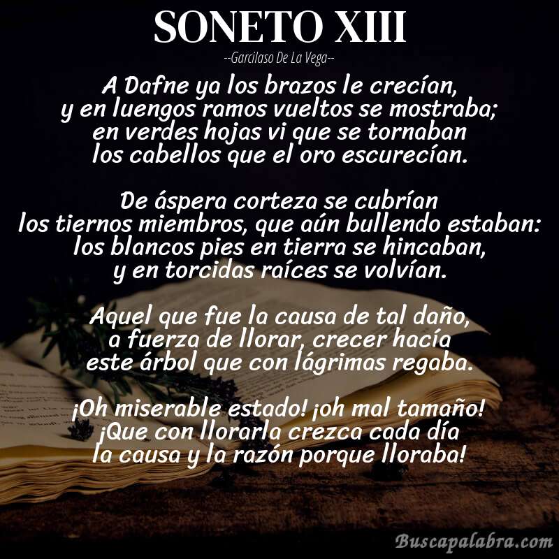 Poema SONETO XIII de Garcilaso de la Vega con fondo de libro