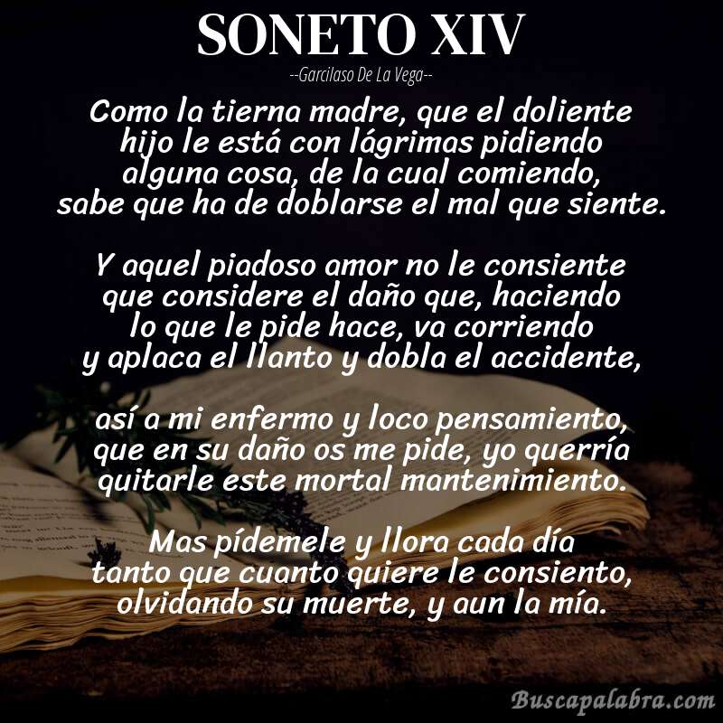 Poema SONETO XIV de Garcilaso de la Vega con fondo de libro