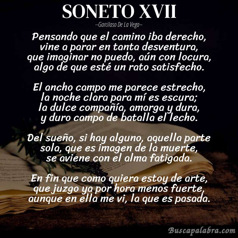 Poema SONETO XVII de Garcilaso de la Vega con fondo de libro