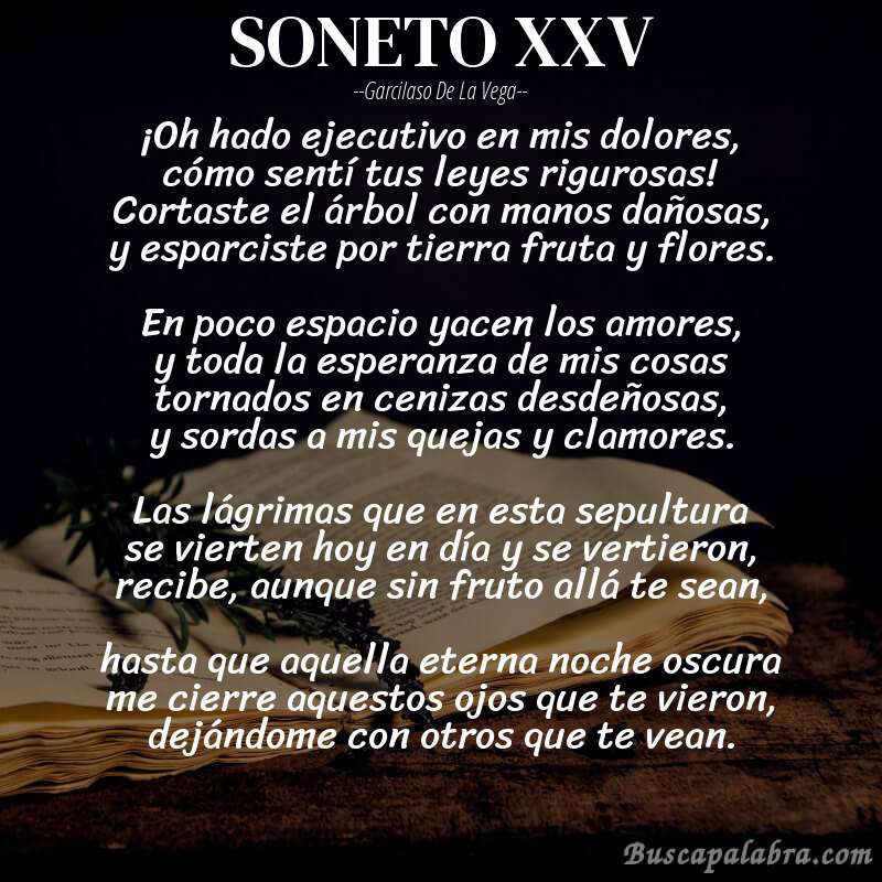Poema SONETO XXV de Garcilaso de la Vega con fondo de libro