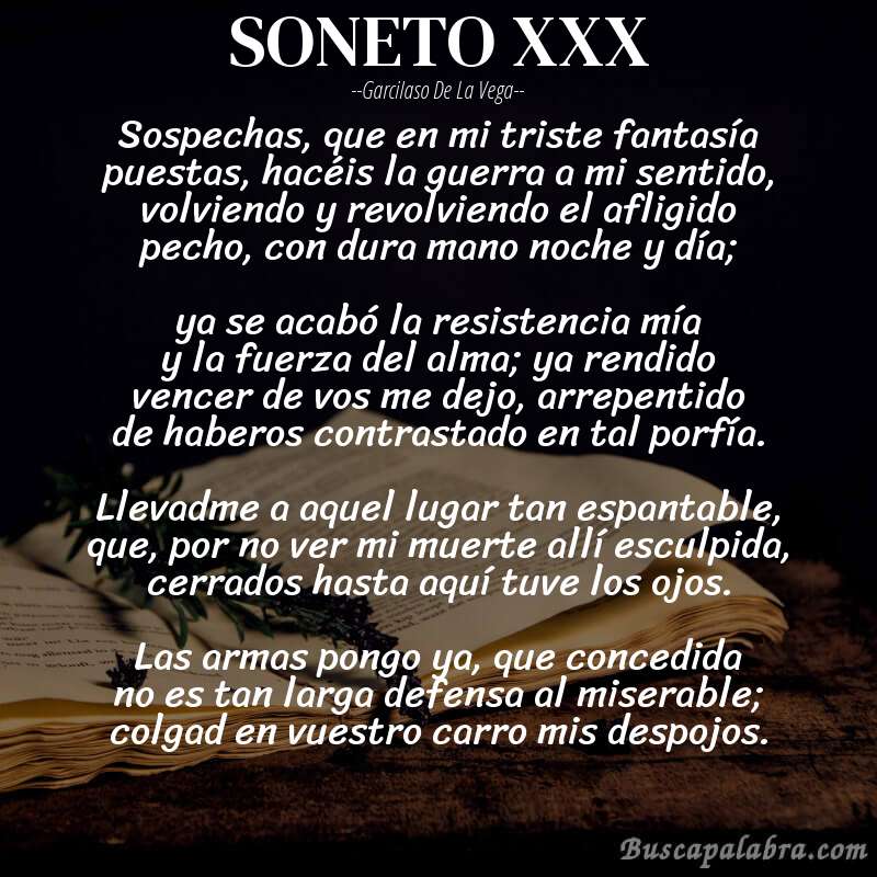 Poema SONETO XXX de Garcilaso de la Vega con fondo de libro
