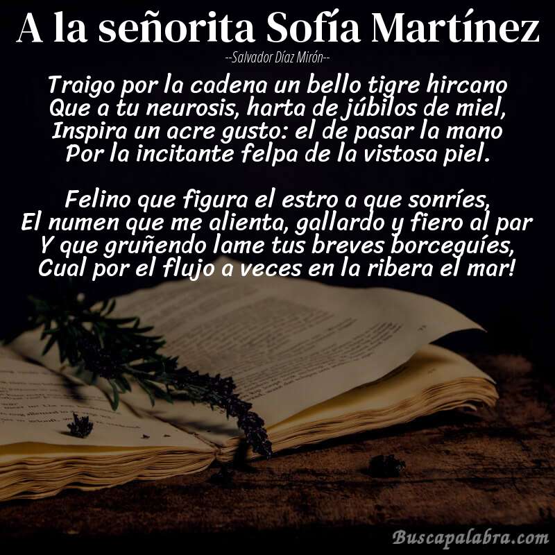 Poema A la señorita Sofía Martínez de Salvador Díaz Mirón con fondo de libro