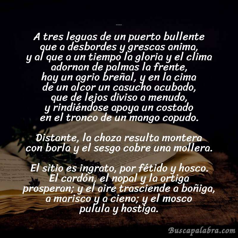 Poema Idilio (Salvador Díaz Mirón) de Salvador Díaz Mirón con fondo de libro