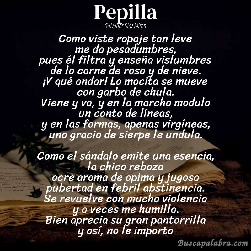 Poema Pepilla de Salvador Díaz Mirón - Análisis del poema