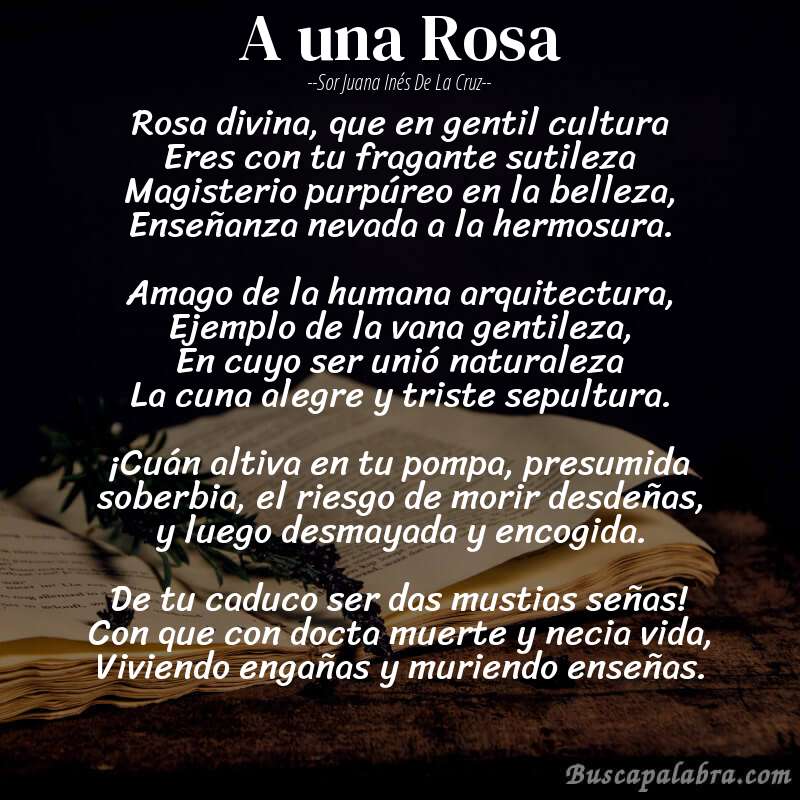 Poema A una Rosa de Sor Juana Inés de la Cruz con fondo de libro