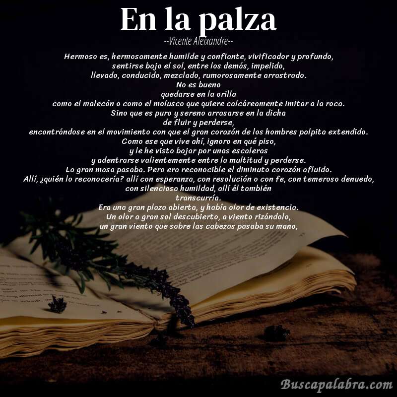 Poema en la palza de Vicente Aleixandre con fondo de libro