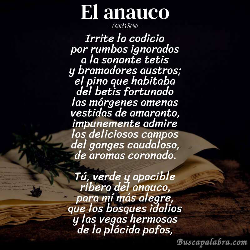 Poema el anauco de Andrés Bello con fondo de libro
