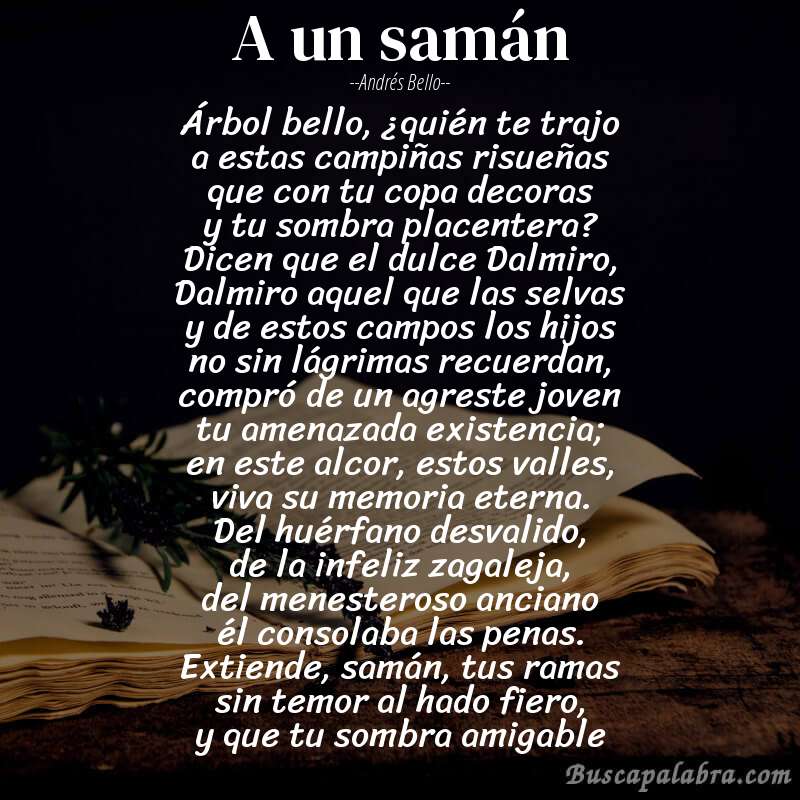 Poema A un samán de Andrés Bello con fondo de libro