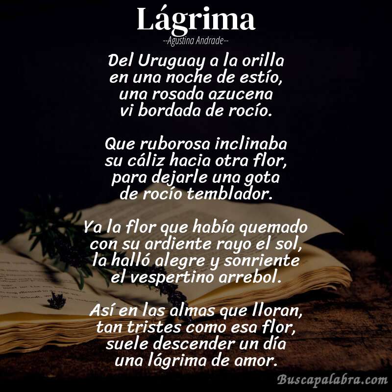 Poema Lágrima de Agustina Andrade con fondo de libro