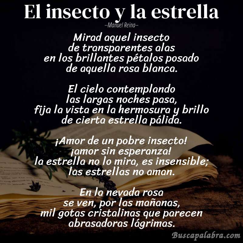 Poema El insecto y la estrella de Manuel Reina con fondo de libro