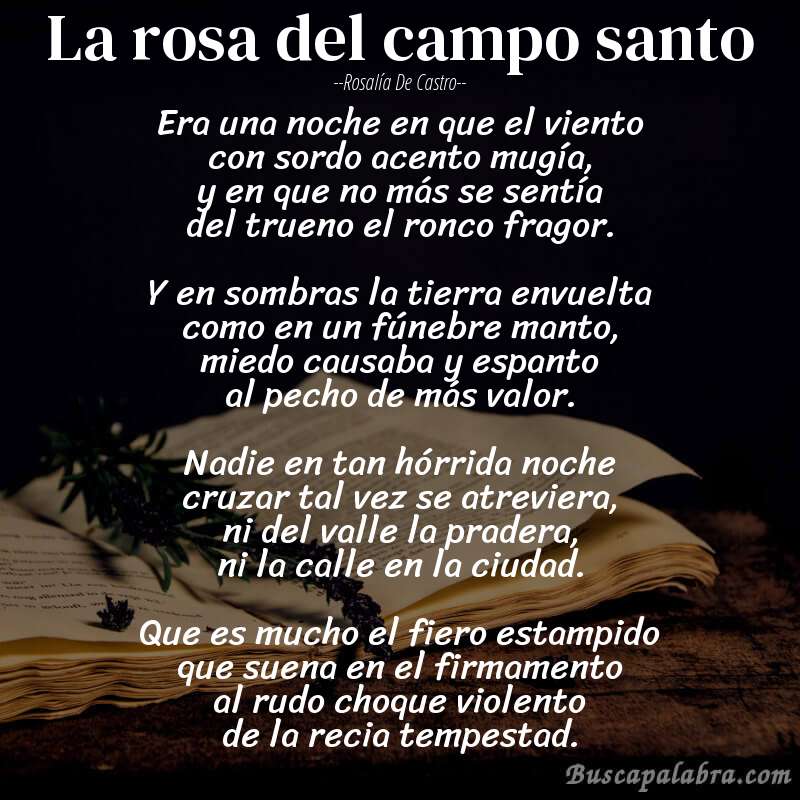 Poema La rosa del campo santo de Rosalía de Castro con fondo de libro