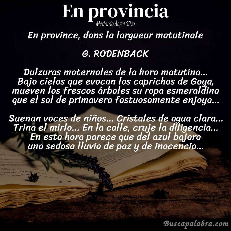Poema En provincia de Medardo Ángel Silva con fondo de libro