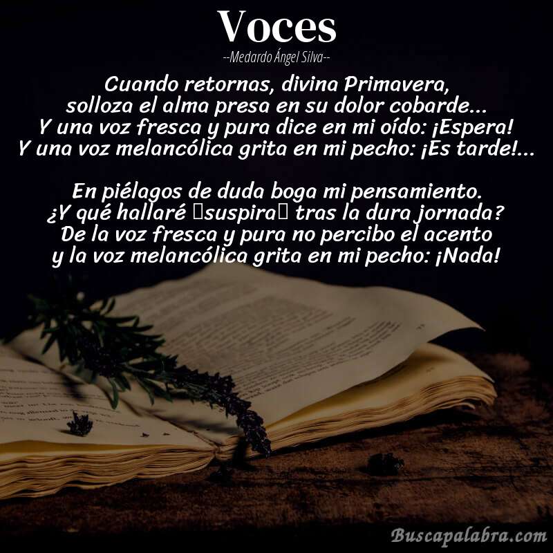 Poema Voces de Medardo Ángel Silva con fondo de libro