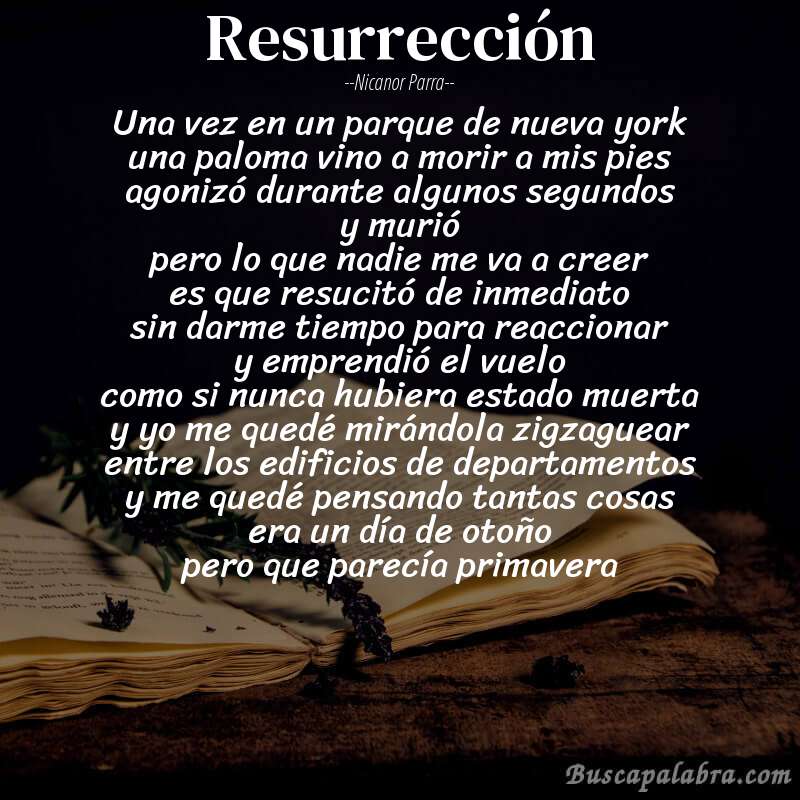 Poema resurrección de Nicanor Parra con fondo de libro