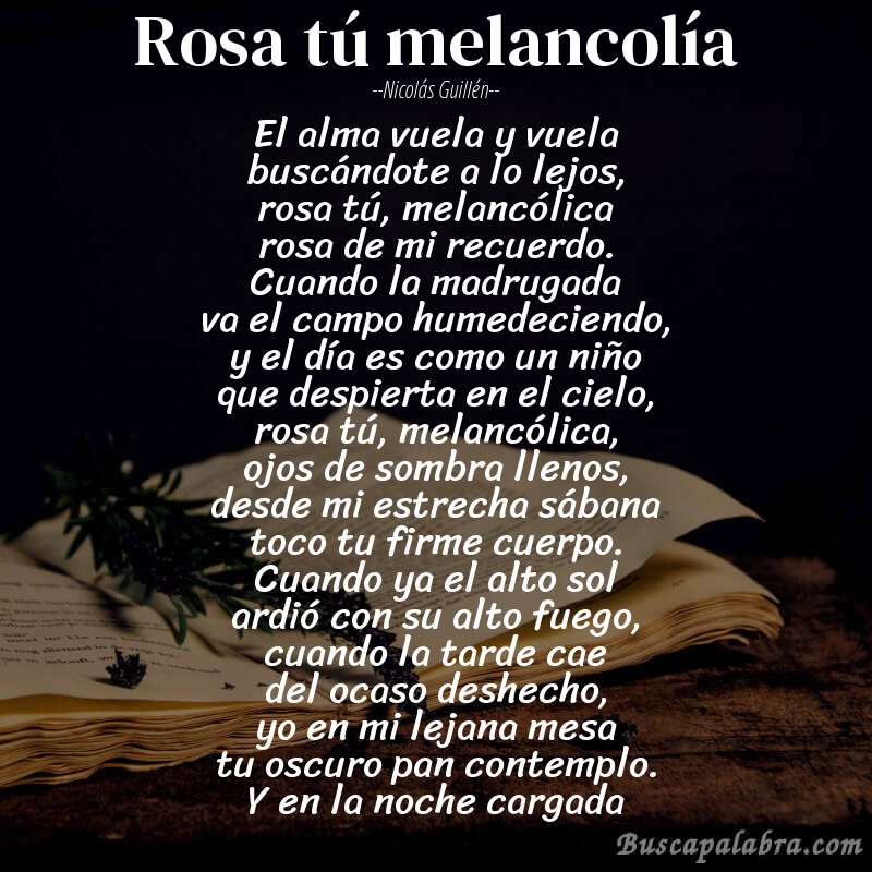 Poema rosa tú melancolía de Nicolás Guillén con fondo de libro