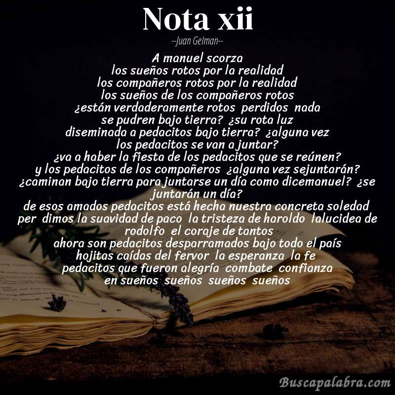 Poema nota xii de Juan Gelman con fondo de libro