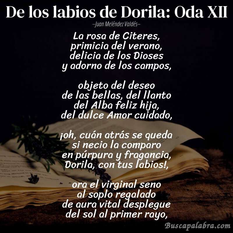 Poema De los labios de Dorila: Oda XII de Juan Meléndez Valdés con fondo de libro
