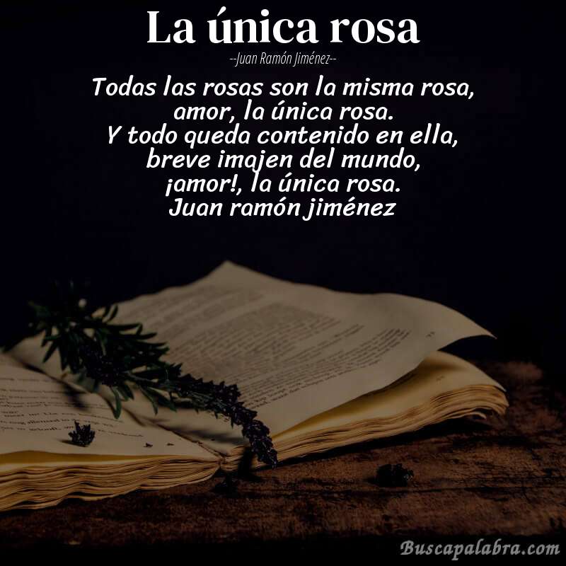 Poema la única rosa de Juan Ramón Jiménez con fondo de libro