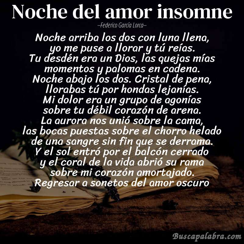 Poema noche del amor insomne de Federico García Lorca con fondo de libro