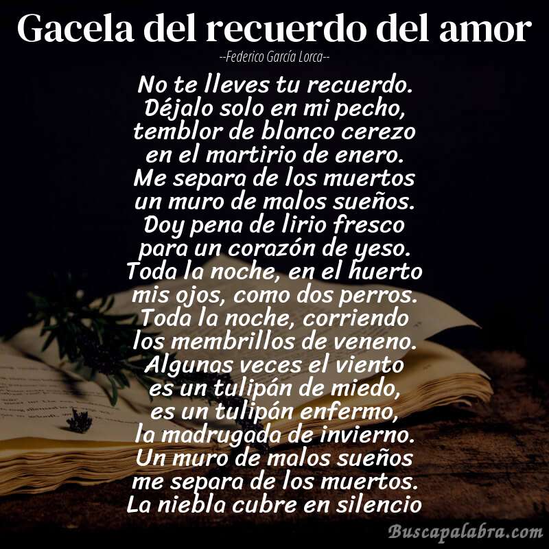 Poema gacela del recuerdo del amor de Federico García Lorca con fondo de libro