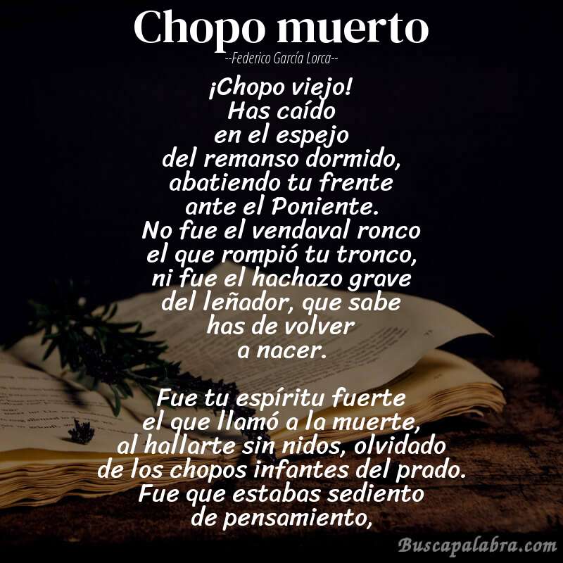 Poema Chopo muerto de Federico García Lorca con fondo de libro