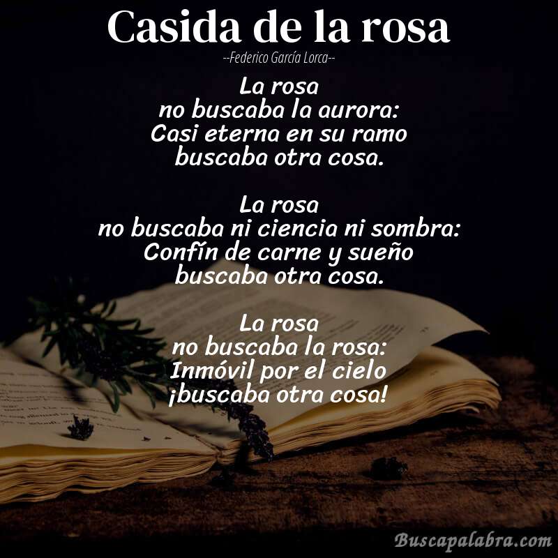 Poema Casida de la rosa de Federico García Lorca con fondo de libro