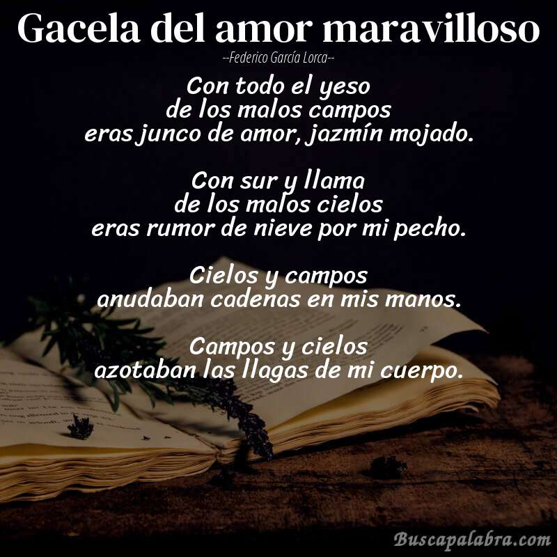 Poema Gacela del amor maravilloso de Federico García Lorca con fondo de libro