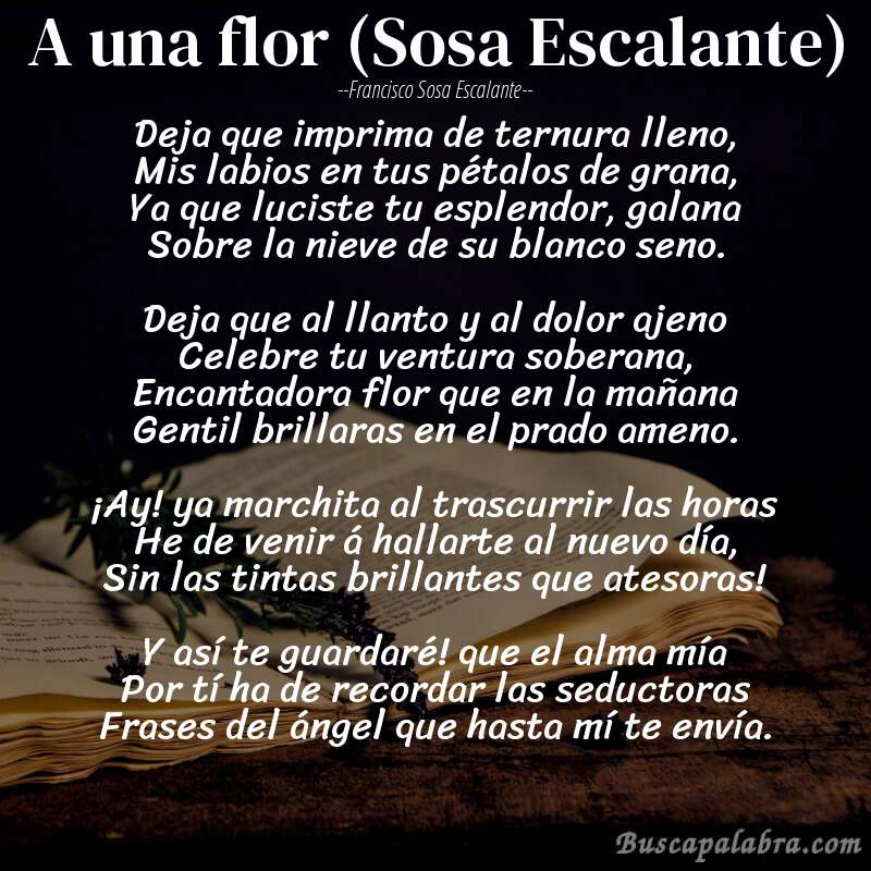 Poema A una flor (Sosa Escalante) de Francisco Sosa Escalante con fondo de libro