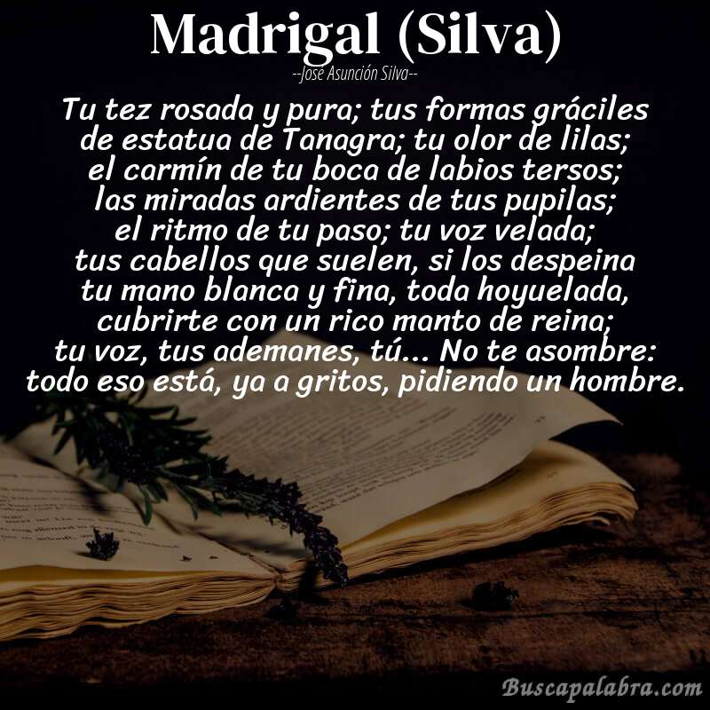 Poema Madrigal (Silva) de José Asunción Silva con fondo de libro