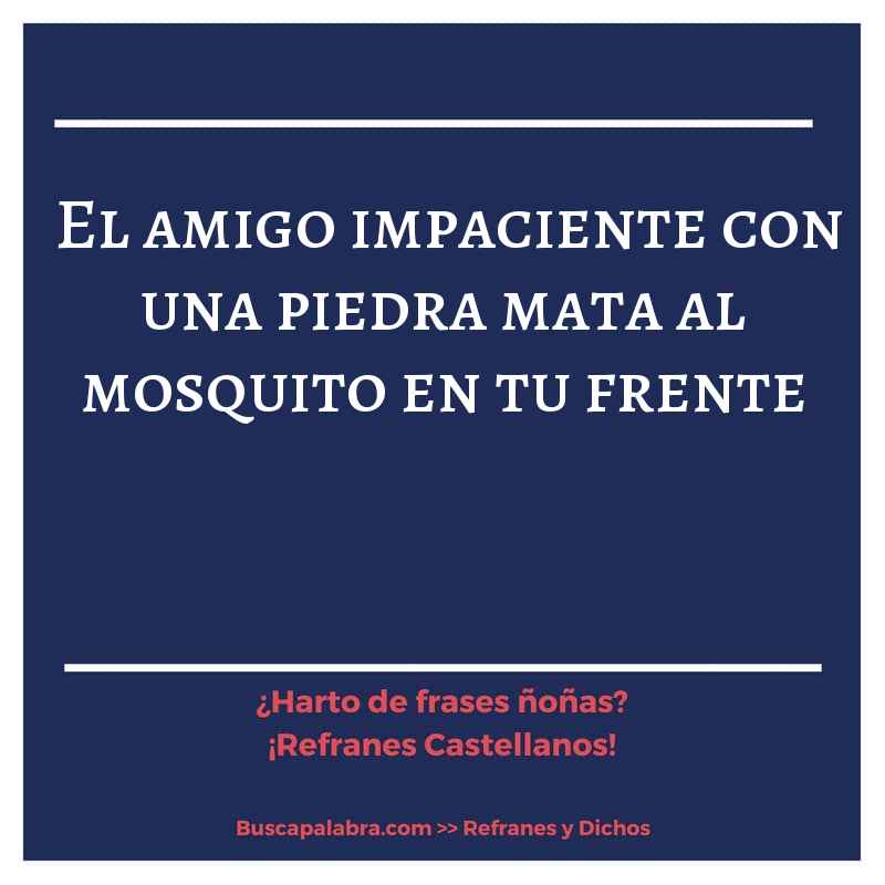 el amigo impaciente con una piedra mata al mosquito en tu frente - Refrán Español
