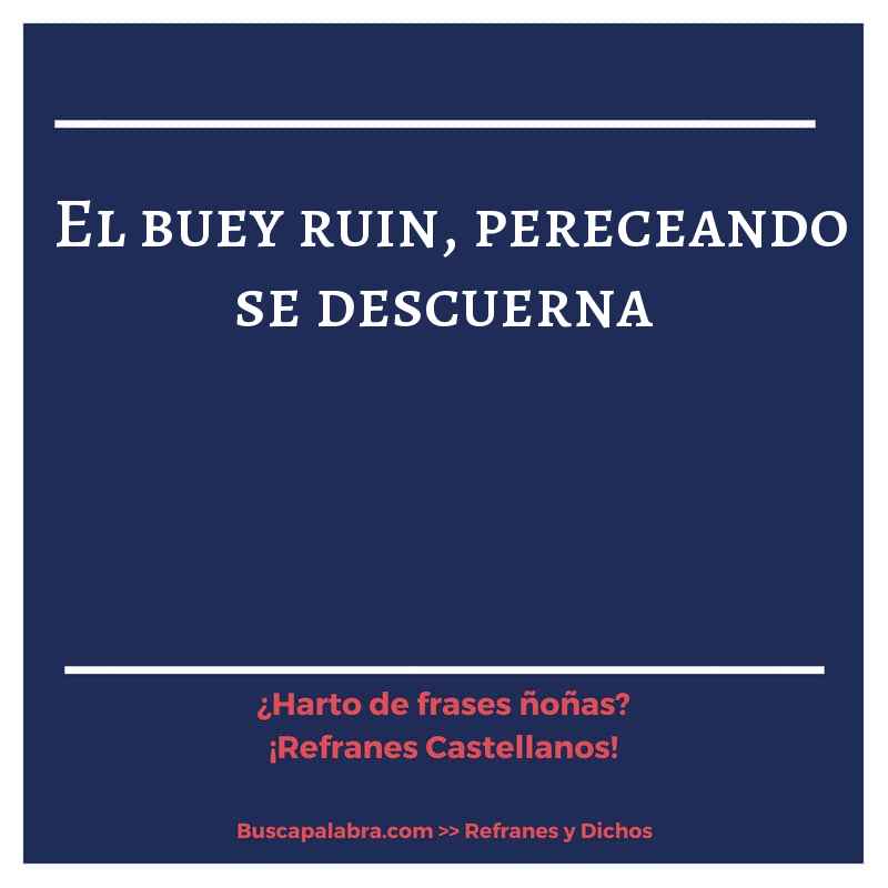 el buey ruin, pereceando se descuerna - Refrán Español