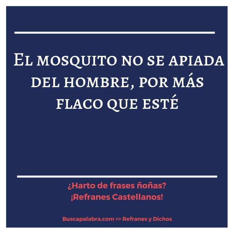 el mosquito no se apiada del hombre, por más flaco que esté - Refrán Español