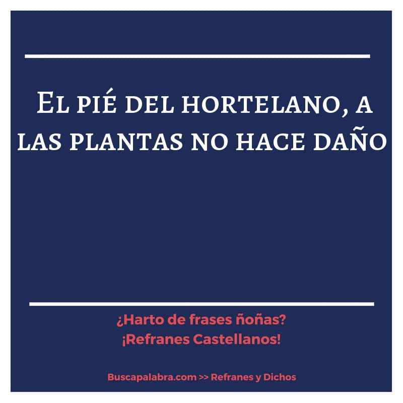 el pié del hortelano, a las plantas no hace daño - Refrán Español
